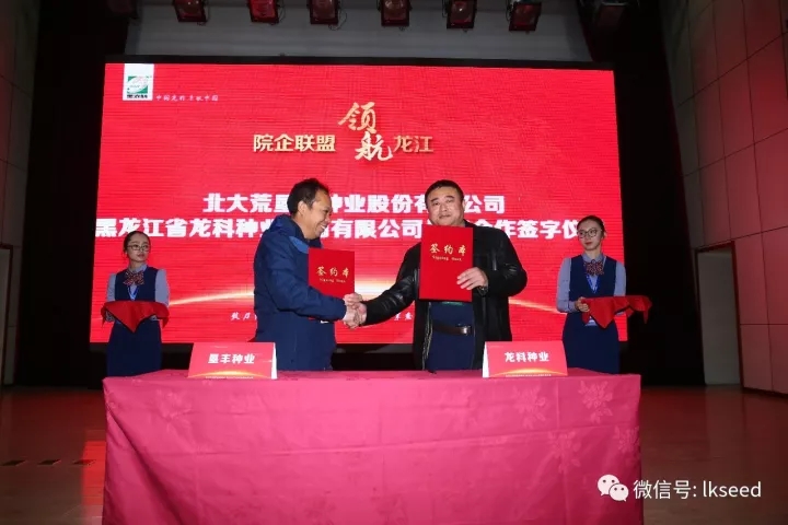 1512545870431890.jpg 14.webp.jpg