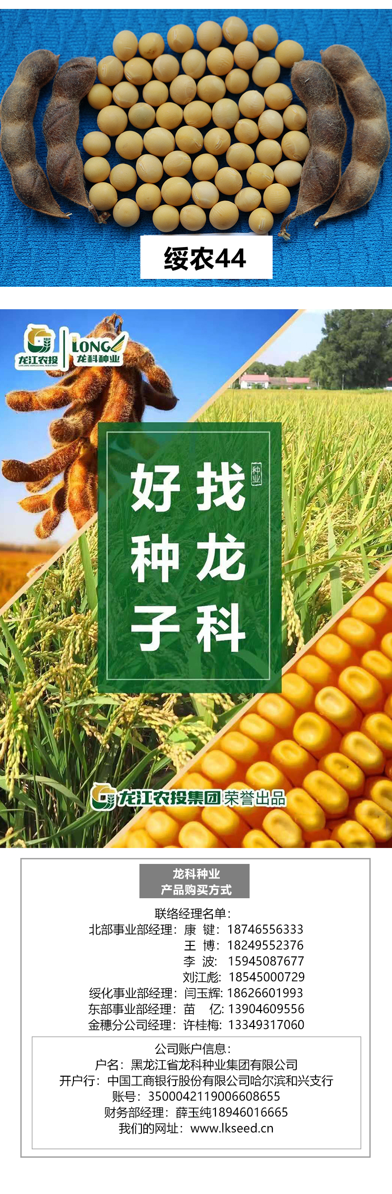 綏農(nóng)44產(chǎn)品詳情_(kāi)03.jpg