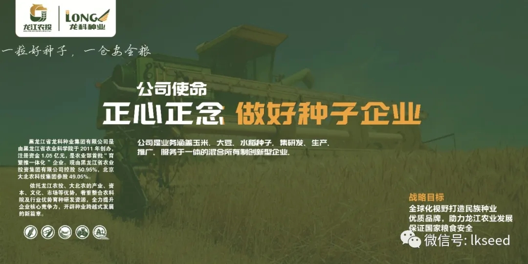 1590472110660169.jpg 640.webp (2).jpg