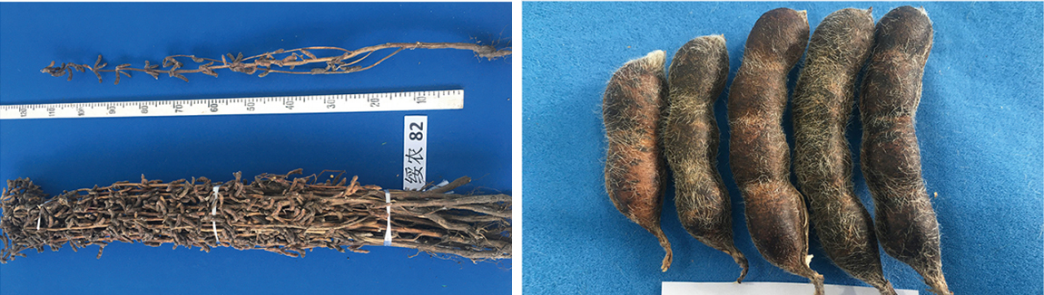 1677825306701285.jpg 1.jpg