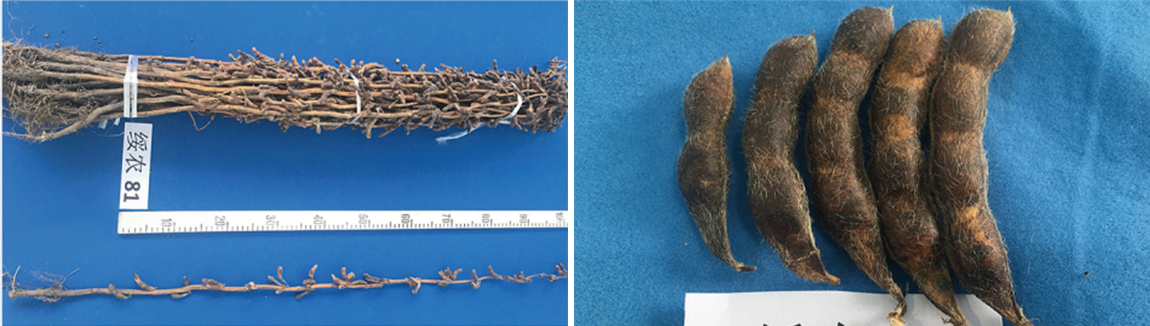 1677825578858372.jpg 1.jpg