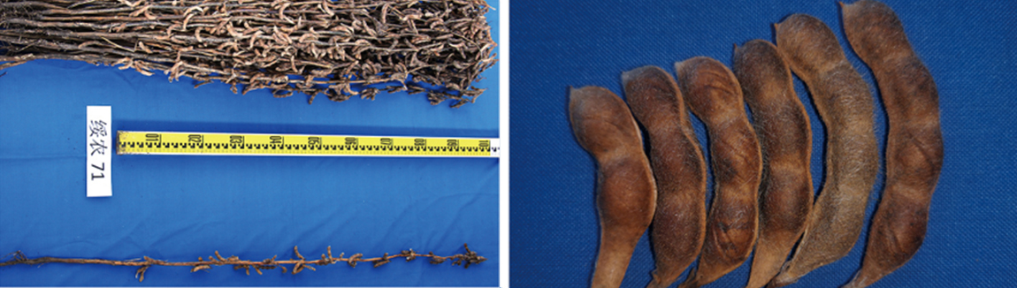 1677829364559165.jpg 1.jpg